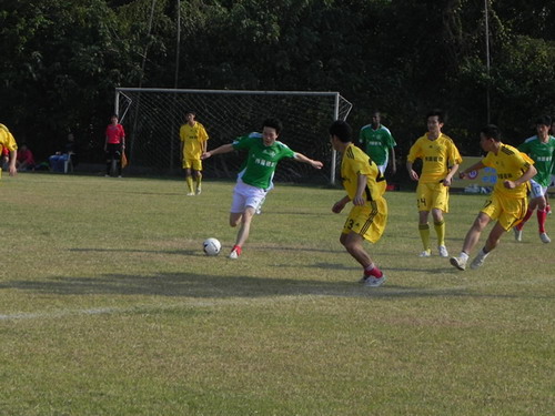 20101227110701487